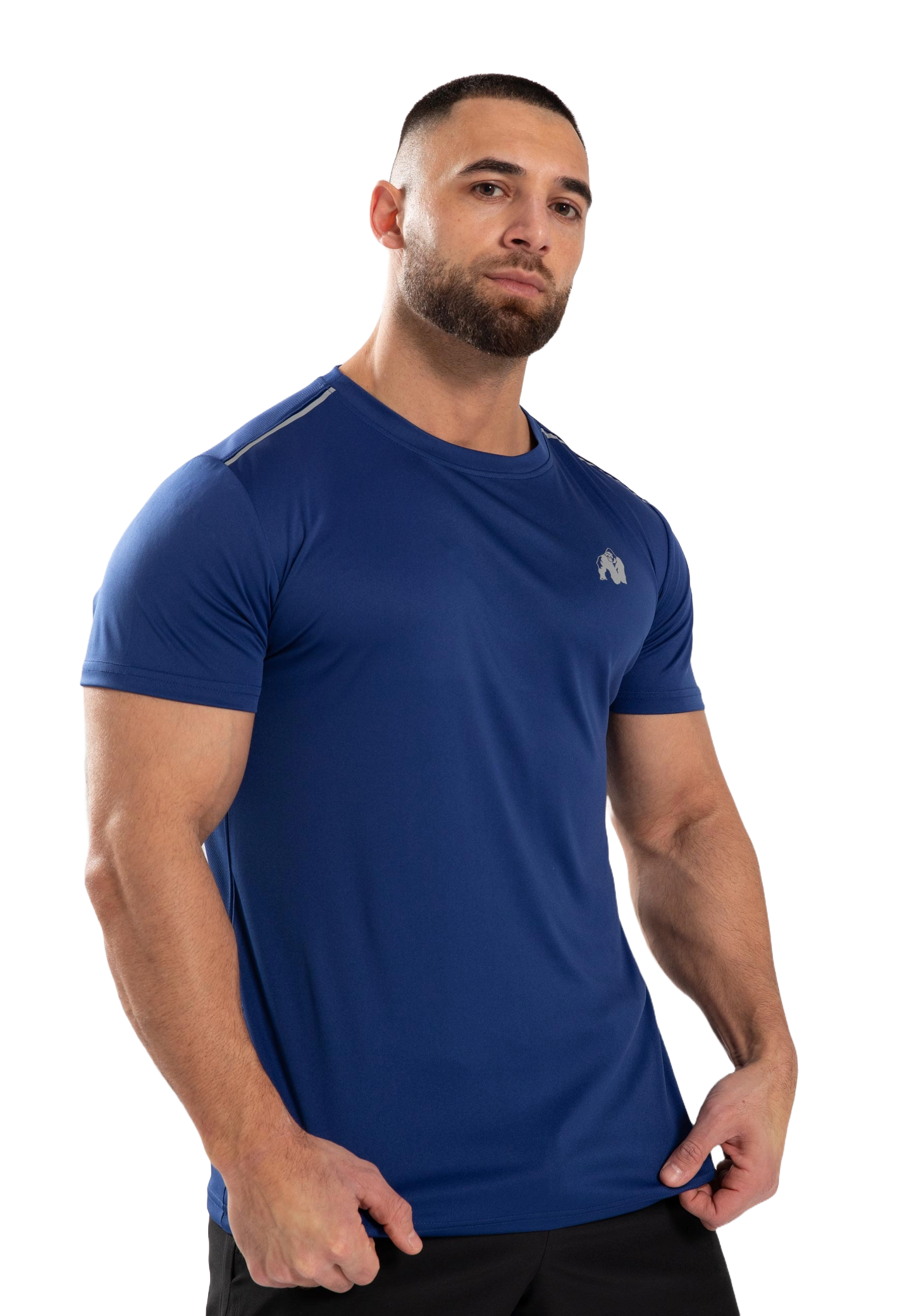Gorilla Wear Easton T-Shirt, blå