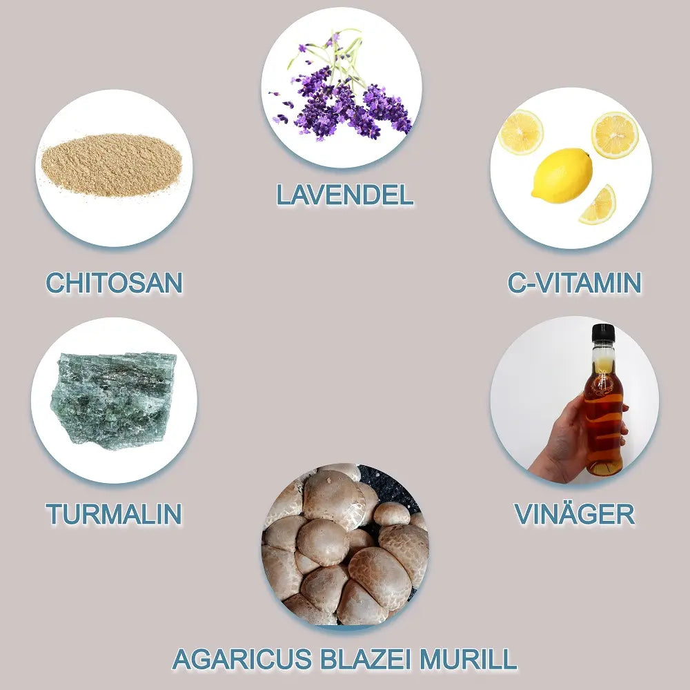 TrendRehab - Detox plåster Lavendel 10-pack – naturlig rening