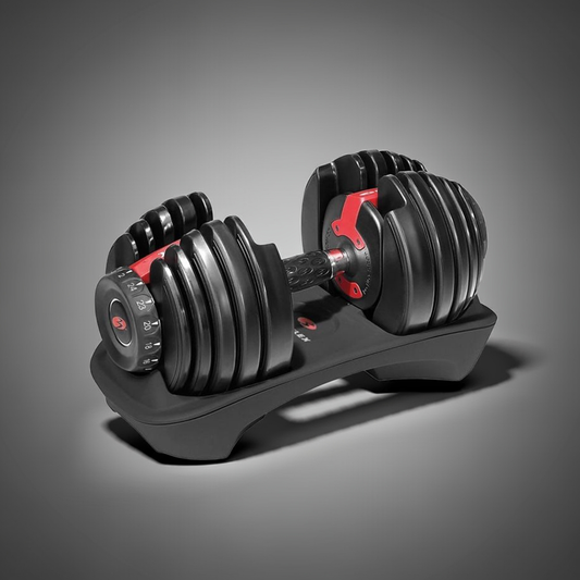 Bowflex 552i SelectTech Dumbbell 24kg (single)