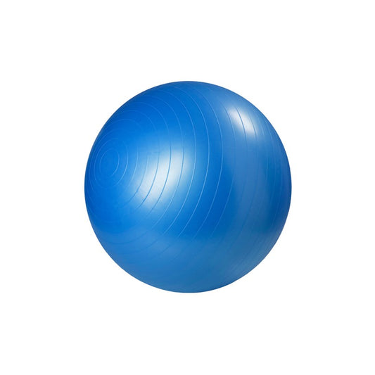 Master Fitness GYMBOLL Blå 65 cm