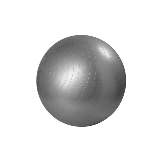 Master Fitness GYMBOLL Silver 75 cm