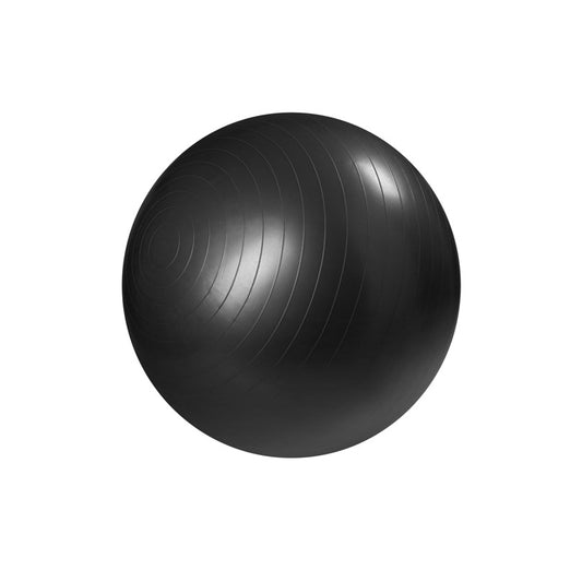 Master Fitness GYMBOLL SVART 55 cm