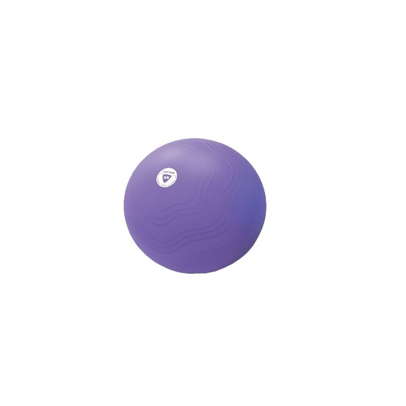 Liv Pro Anti-burst Core Fit träningsboll
