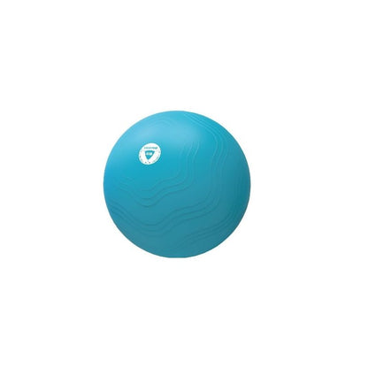 Liv Pro Anti-burst Core Fit träningsboll